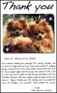 Veterinary services